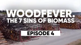 Woodfever 4 The role of Green Politics and nature NGO’s