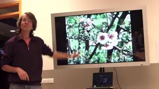 Ontwerpbijeenkomst Voedselbos Merenwijk