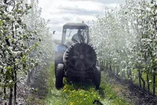 EU wil pesticidenregels versoepelen terwijl Hof automatische verlenging onwettig verklaart