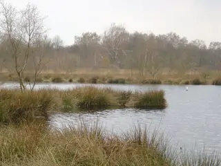 Ruim 65 megaton uitstoot staat buiten de Nederlandse klimaatdoelen